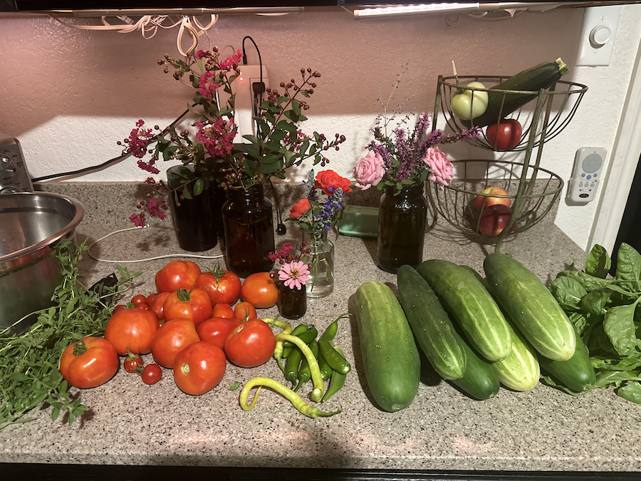 Lessons from the Garden: Little by Little