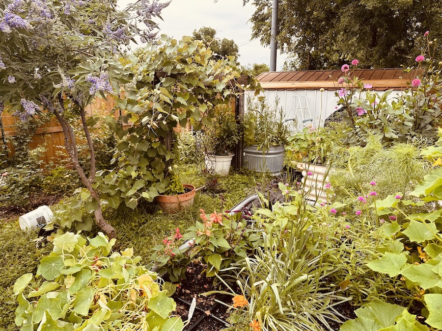 Lessons from the Garden: Uprooting what Doesn't Belong